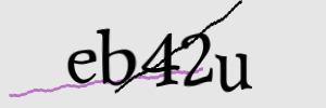 Enter the character string shown in the picture