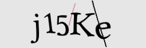 Enter the character string shown in the picture