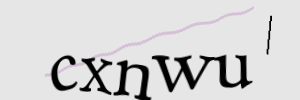 Enter the character string shown in the picture