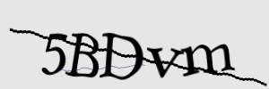 Enter the character string shown in the picture