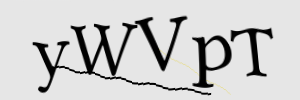Enter the character string shown in the picture