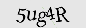 Enter the character string shown in the picture