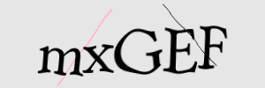 Enter the character string shown in the picture