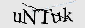 Enter the character string shown in the picture