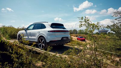 Cayenne im hügeligen Off-Road Gelände umgeben von Natur.